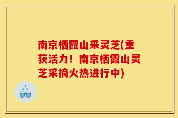 南京栖霞山采灵芝(重获活力!南京栖霞山灵芝采摘火热进行中) 南京栖霞山采灵芝(重获活力!南京栖霞山灵芝采摘火热进行中)