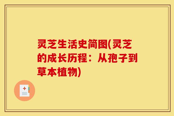 灵芝生活史简图(灵芝的成长历程：从孢子到草本植物)