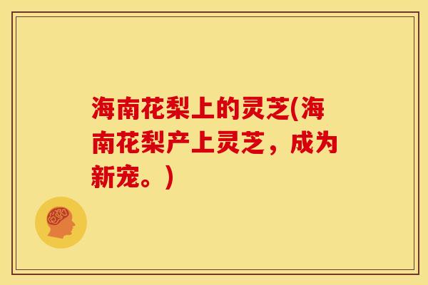 海南花梨上的灵芝(海南花梨产上灵芝,成为新宠。) 海南花梨上的灵芝(海南花梨产上灵芝,成为新宠。)