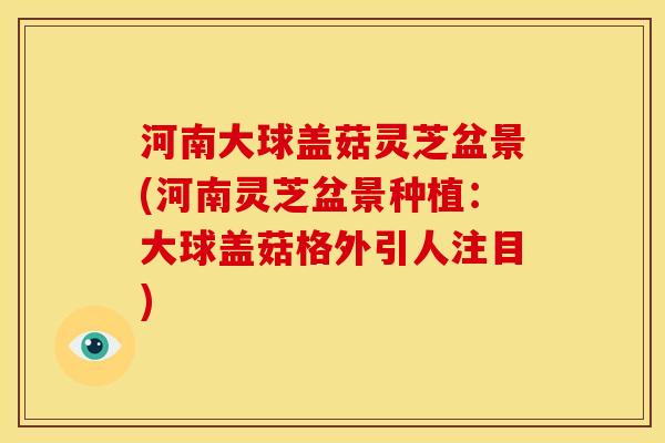 河南大球盖菇灵芝盆景(河南灵芝盆景种植:大球盖菇格外引人注目) 河南大球盖菇灵芝盆景(河南灵芝盆景种植:大球盖菇格外引人注目)