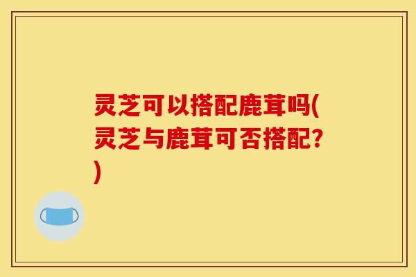 灵芝可以搭配鹿茸吗(灵芝与鹿茸可否搭配?) 灵芝可以搭配鹿茸吗(灵芝与鹿茸可否搭配?)
