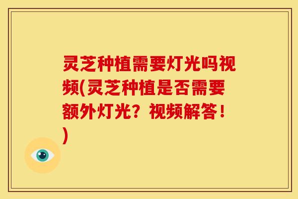 灵芝种植需要灯光吗视频(灵芝种植是否需要额外灯光?视频解答!) 灵芝种植需要灯光吗视频(灵芝种植是否需要额外灯光?视频解答!)