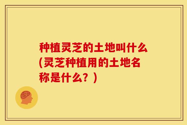 种植灵芝的土地叫什么(灵芝种植用的土地名称是什么?) 种植灵芝的土地叫什么(灵芝种植用的土地名称是什么?)