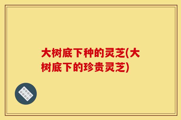 大树底下种的灵芝(大树底下的珍贵灵芝)
