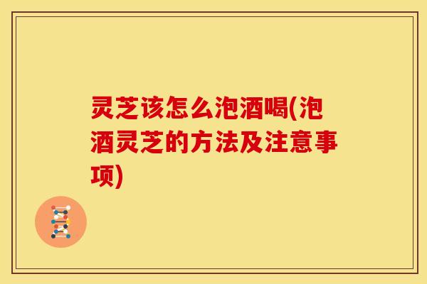 灵芝该怎么泡酒喝(泡酒灵芝的方法及注意事项) 灵芝该怎么泡酒喝(泡酒灵芝的方法及注意事项)