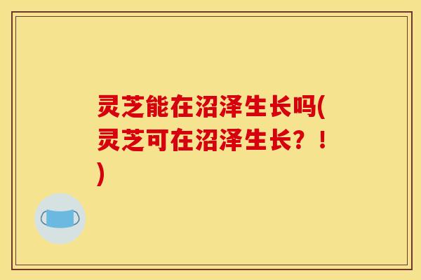 灵芝能在沼泽生长吗(灵芝可在沼泽生长？！)