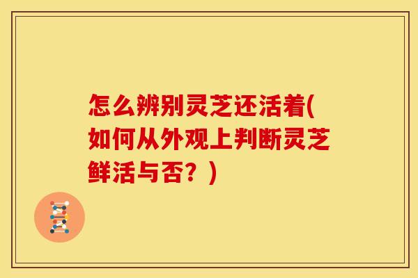 怎么辨别灵芝还活着(如何从外观上判断灵芝鲜活与否?) 怎么辨别灵芝还活着(如何从外观上判断灵芝鲜活与否?)