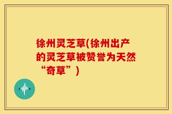 徐州灵芝草(徐州出产的灵芝草被赞誉为天然“奇草”) 徐州灵芝草(徐州出产的灵芝草被赞誉为天然“奇草”)
