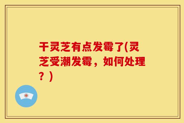 干灵芝有点发霉了(灵芝受潮发霉,如何处理?) 干灵芝有点发霉了(灵芝受潮发霉,如何处理?)
