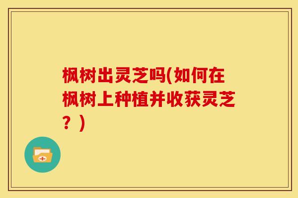 枫树出灵芝吗(如何在枫树上种植并收获灵芝?) 枫树出灵芝吗(如何在枫树上种植并收获灵芝?)