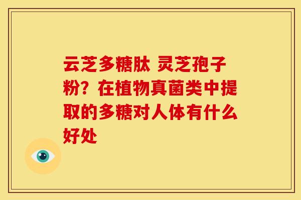 云芝多糖肽 灵芝孢子粉?在植物真菌类中提取的多糖对人体有什么好处 云芝多糖肽 灵芝孢子粉?在植物真菌类中提取的多糖对人体有什么好处
