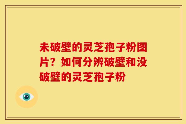 未破壁的灵芝孢子粉图片?如何分辨破壁和没破壁的灵芝孢子粉 未破壁的灵芝孢子粉图片?如何分辨破壁和没破壁的灵芝孢子粉