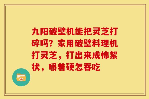九阳破壁机能把灵芝打碎吗?家用破壁料理机打灵芝,打出来成棉絮状,嚼着硬怎吞吃 九阳破壁机能把灵芝打碎吗?家用破壁料理机打灵芝,打出来成棉絮状,嚼着硬怎吞吃