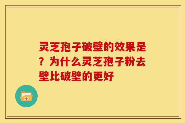 灵芝孢子破壁的效果是?为什么灵芝孢子粉去壁比破壁的更好 灵芝孢子破壁的效果是?为什么灵芝孢子粉去壁比破壁的更好
