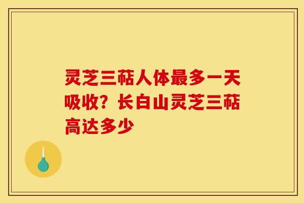 灵芝三萜人体多一天吸收？长白山灵芝三萜高达多少