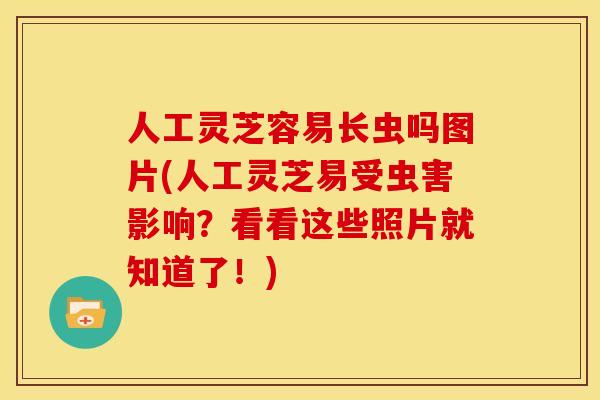 人工灵芝容易长虫吗图片(人工灵芝易受虫害影响?看看这些照片就知道了!) 人工灵芝容易长虫吗图片(人工灵芝易受虫害影响?看看这些照片就知道了!)