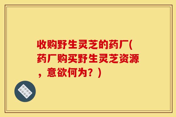 收购野生灵芝的药厂(药厂购买野生灵芝资源,意欲何为?) 收购野生灵芝的药厂(药厂购买野生灵芝资源,意欲何为?)