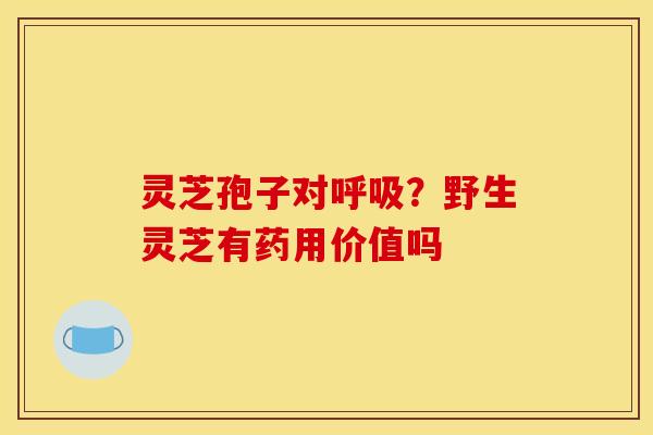 灵芝孢子对?野生灵芝有药用价值吗 灵芝孢子对?野生灵芝有药用价值吗