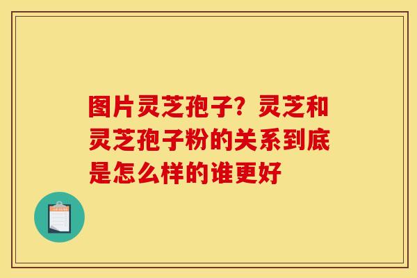 图片灵芝孢子？灵芝和灵芝孢子粉的关系到底是怎么样的谁更好