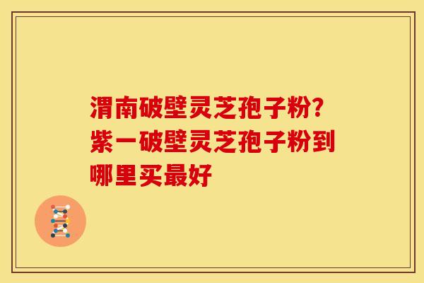 渭南破壁灵芝孢子粉?紫一破壁灵芝孢子粉到哪里买好 渭南破壁灵芝孢子粉?紫一破壁灵芝孢子粉到哪里买好