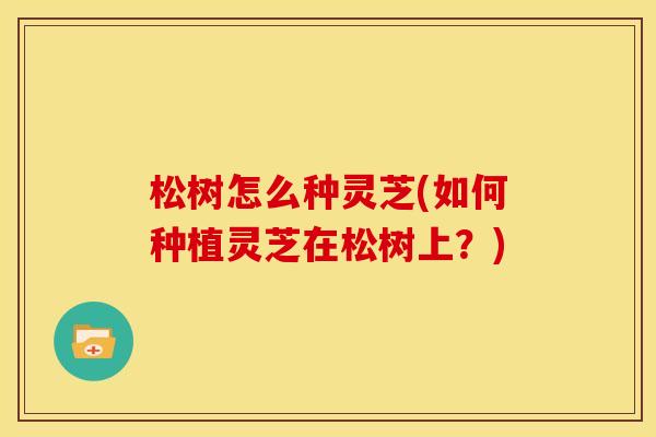 松树怎么种灵芝(如何种植灵芝在松树上?) 松树怎么种灵芝(如何种植灵芝在松树上?)