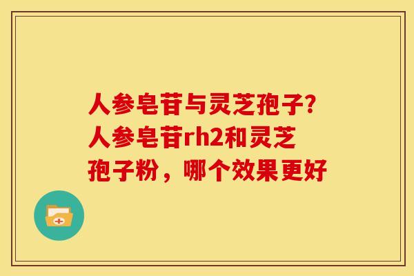 人参皂苷与灵芝孢子?人参皂苷rh2和灵芝孢子粉,哪个效果更好 人参皂苷与灵芝孢子?人参皂苷rh2和灵芝孢子粉,哪个效果更好