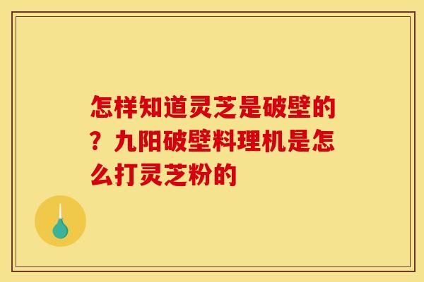怎样知道灵芝是破壁的?九阳破壁料理机是怎么打灵芝粉的 怎样知道灵芝是破壁的?九阳破壁料理机是怎么打灵芝粉的
