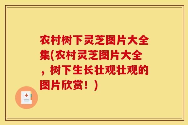 农村树下灵芝图片大全集(农村灵芝图片大全,树下生长壮观壮观的图片欣赏!) 农村树下灵芝图片大全集(农村灵芝图片大全,树下生长壮观壮观的图片欣赏!)