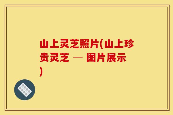 山上灵芝照片(山上珍贵灵芝 ─ 图片展示) 山上灵芝照片(山上珍贵灵芝 ─ 图片展示)