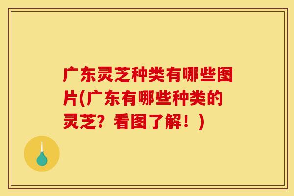 广东灵芝种类有哪些图片(广东有哪些种类的灵芝?看图了解!) 广东灵芝种类有哪些图片(广东有哪些种类的灵芝?看图了解!)