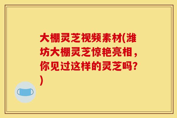大棚灵芝视频素材(潍坊大棚灵芝惊艳亮相,你见过这样的灵芝吗?) 大棚灵芝视频素材(潍坊大棚灵芝惊艳亮相,你见过这样的灵芝吗?)