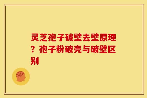 灵芝孢子破壁去壁原理?孢子粉破壳与破壁区别 灵芝孢子破壁去壁原理?孢子粉破壳与破壁区别