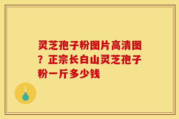 灵芝孢子粉图片高清图?正宗长白山灵芝孢子粉一斤多少钱 灵芝孢子粉图片高清图?正宗长白山灵芝孢子粉一斤多少钱