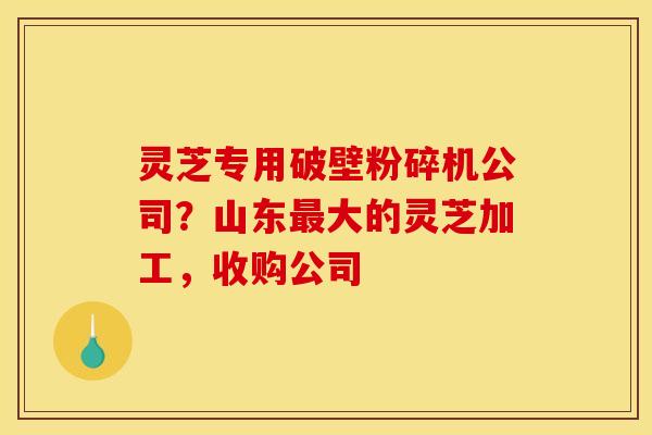 灵芝专用破壁粉碎机公司?山东大的灵芝加工,收购公司 灵芝专用破壁粉碎机公司?山东大的灵芝加工,收购公司