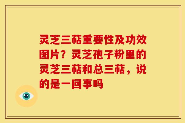 灵芝三萜重要性及功效图片?灵芝孢子粉里的灵芝三萜和总三萜,说的是一回事吗 灵芝三萜重要性及功效图片?灵芝孢子粉里的灵芝三萜和总三萜,说的是一回事吗
