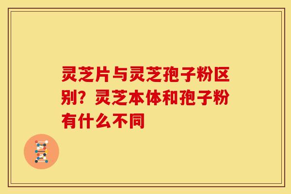 灵芝片与灵芝孢子粉区别?灵芝本体和孢子粉有什么不同 灵芝片与灵芝孢子粉区别?灵芝本体和孢子粉有什么不同