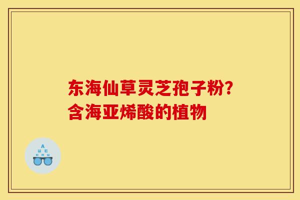东海仙草灵芝孢子粉?含海亚烯酸的植物 东海仙草灵芝孢子粉?含海亚烯酸的植物