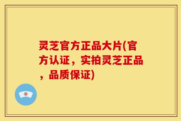灵芝官方正品大片(官方认证，实拍灵芝正品，品质保证)