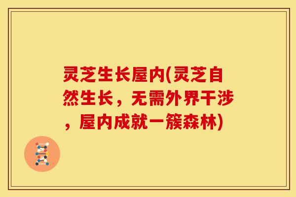 灵芝生长屋内(灵芝自然生长,无需外界干涉,屋内成就一簇森林) 灵芝生长屋内(灵芝自然生长,无需外界干涉,屋内成就一簇森林)
