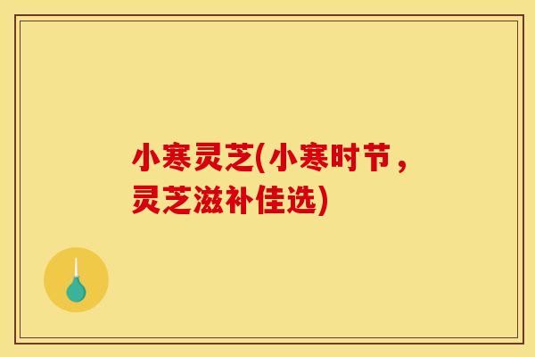 小寒灵芝(小寒时节,灵芝滋补佳选) 小寒灵芝(小寒时节,灵芝滋补佳选)