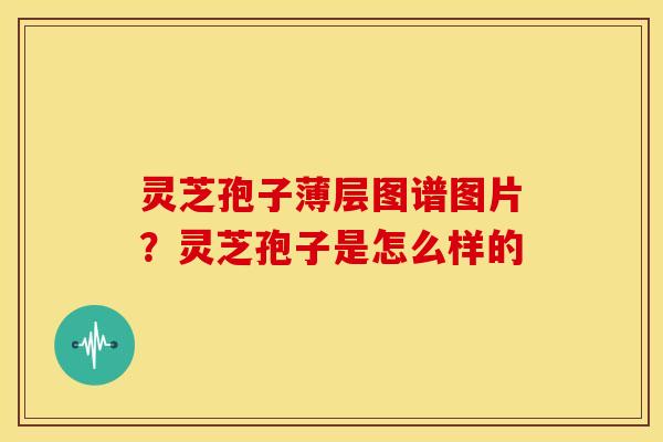 灵芝孢子薄层图谱图片?灵芝孢子是怎么样的 灵芝孢子薄层图谱图片?灵芝孢子是怎么样的