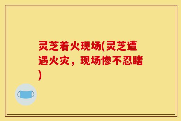 灵芝着火现场(灵芝遭遇火灾,现场惨不忍睹) 灵芝着火现场(灵芝遭遇火灾,现场惨不忍睹)