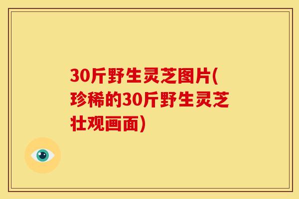30斤野生灵芝图片(珍稀的30斤野生灵芝壮观画面) 30斤野生灵芝图片(珍稀的30斤野生灵芝壮观画面)
