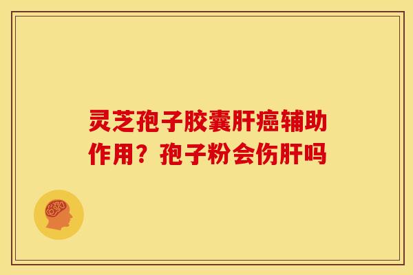 灵芝孢子胶囊辅助作用?孢子粉会伤吗 灵芝孢子胶囊辅助作用?孢子粉会伤吗