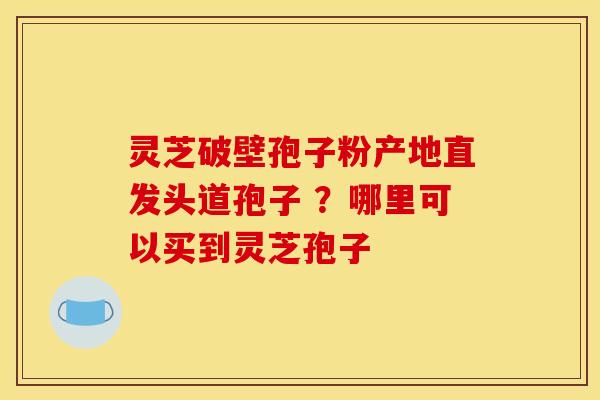 灵芝破壁孢子粉产地直发头道孢子 ？哪里可以买到灵芝孢子