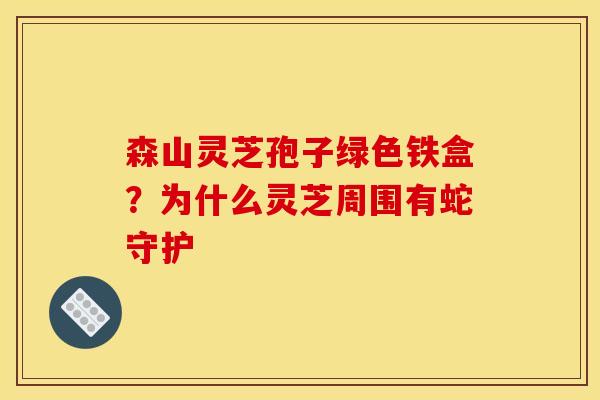 森山灵芝孢子绿色铁盒？为什么灵芝周围有蛇守护