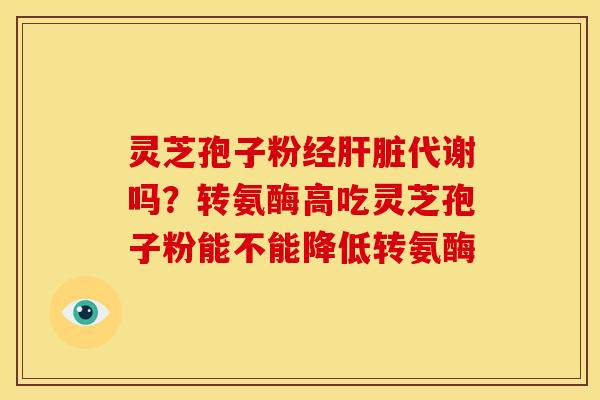 灵芝孢子粉经代谢吗？转氨酶高吃灵芝孢子粉能不能降低转氨酶
