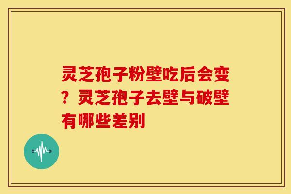 灵芝孢子粉壁吃后会变？灵芝孢子去壁与破壁有哪些差别