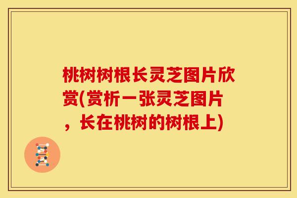 桃树树根长灵芝图片欣赏(赏析一张灵芝图片，长在桃树的树根上)