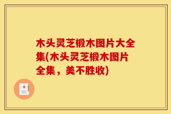 木头灵芝椴木图片大全集(木头灵芝椴木图片全集,美不胜收) 木头灵芝椴木图片大全集(木头灵芝椴木图片全集,美不胜收)